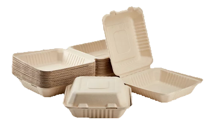 SS600 Emerald Bagasse Hinged Food Containers, 6-in x 6-in x-3-in, 1 Compartment (400ct)
